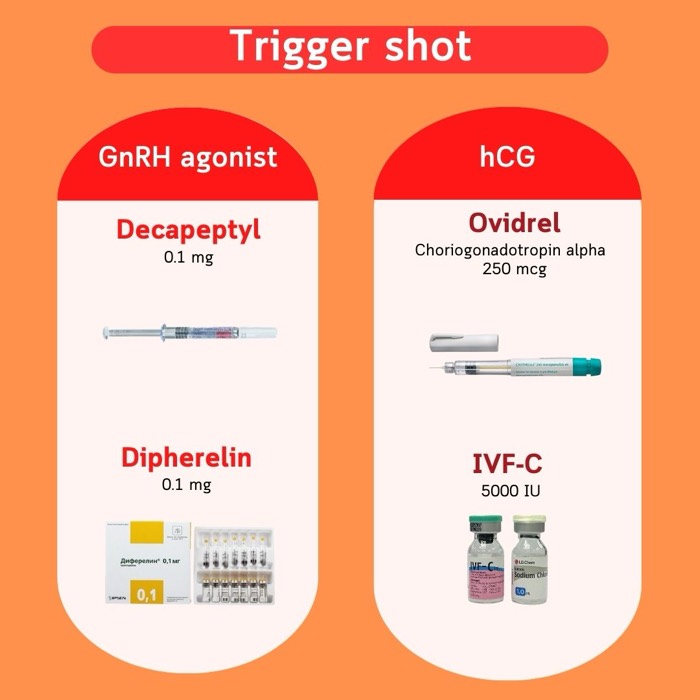 ट्रिगर इंजेक्शन — GnRH एगोनिस्ट (Decapeptyl, Diphereline) और hCG (Ovidrel, IVF-C)